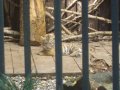 IMGP0847.JPG